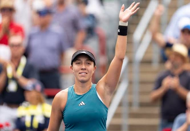 向大众展示 向大众展示