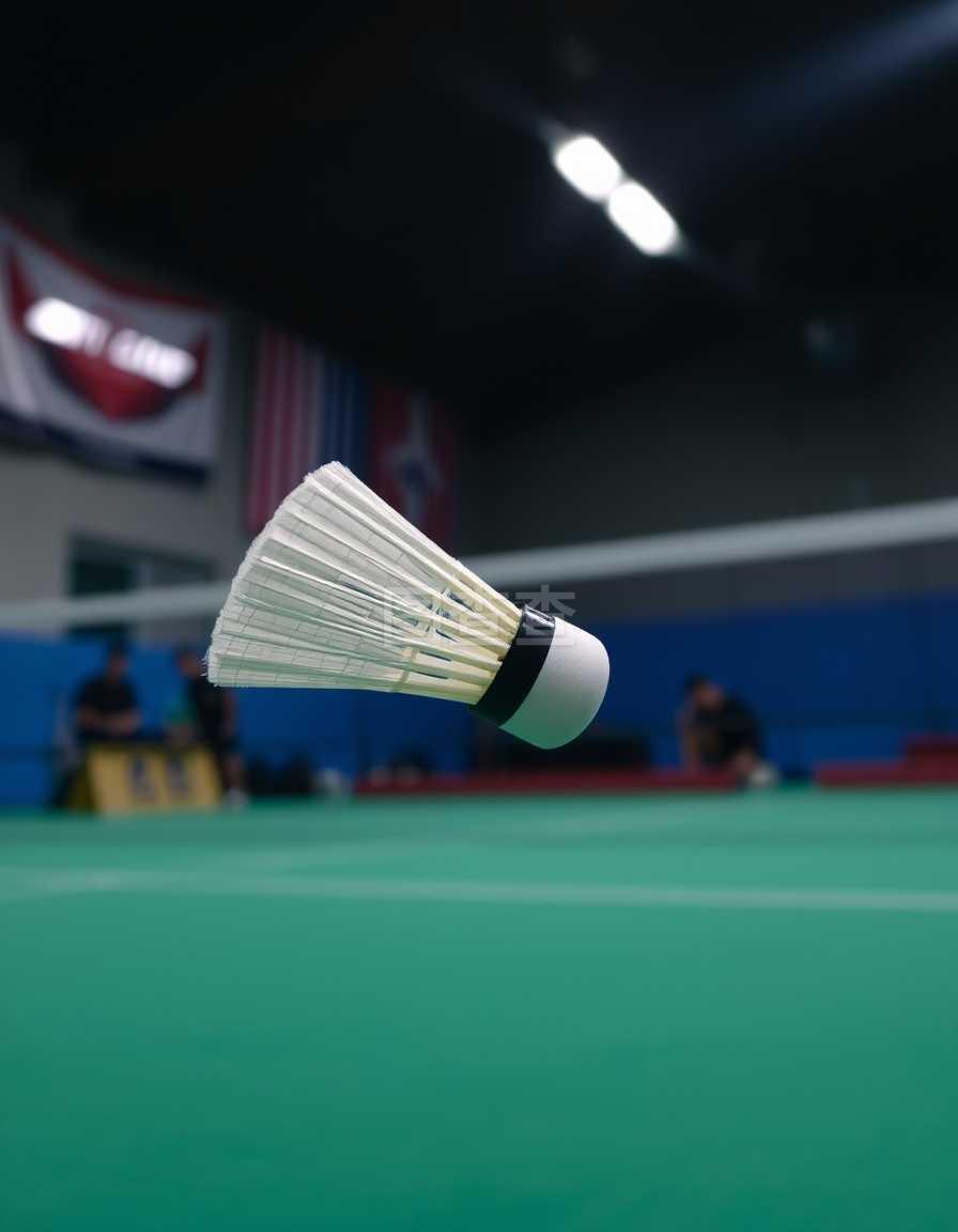 的未来可期 的未来可期