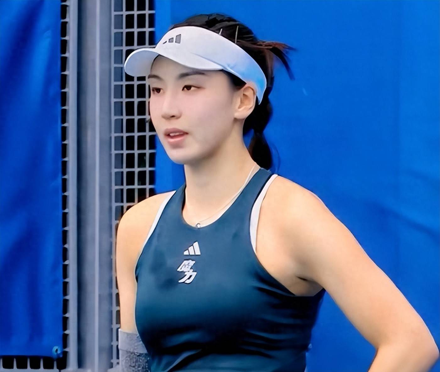 更是中国网 更是中国网