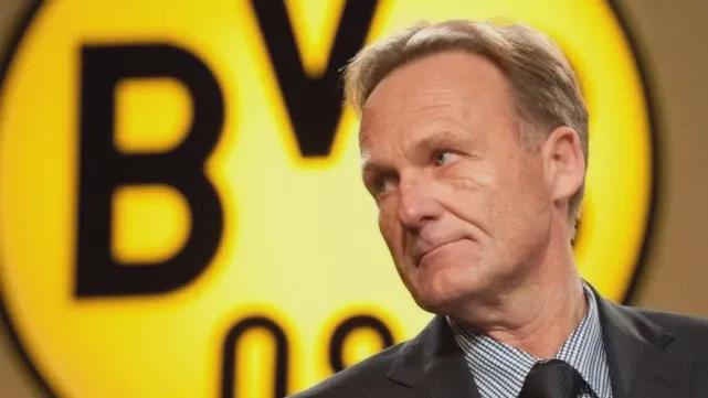 你会发现 你会发现